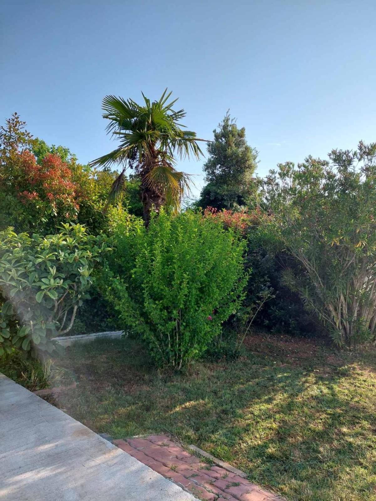 Soline Ada Apartment Pjescana Uvala Exterior foto